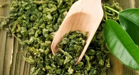 Green Tea Extract for metabolism