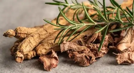 Siberian Ginseng for stamina